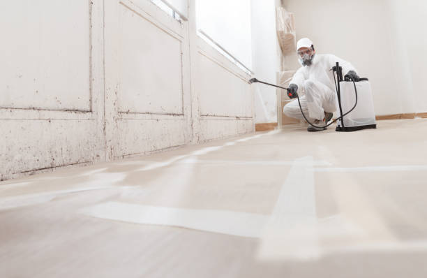 24/7 Emergency Basement Mold Remediation experts in Rebuck, PA